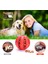 No.4 Tarzı 6cm Köpek Diş Temizleme Topu Gıda Ekstra Dayanıklı Kauçuk Toplar Yumuşak Evcil Köpek Oyuncağı Eğlenceli Interaktif Esneklik Topu Köpekler Için Çiğneme Oyuncağı (Yurt Dışından) 3