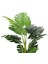 Yapay Monstera Ağacı 155 cm 2