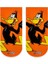 Vitamin Çorap Daffy Duck Renkli Çocuk Çorap 1