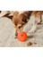 Köpek Oyuncağı »snackball« 1