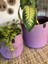 Pot Saksı Sepet. 2li Set Banyo, Mutfak, Çocuk Odası Düzenleyici Sepet, Organizer Hasır 1