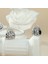 Pendant Charm Rose Sachet Kadınlar Için Karşılaştırılmış Farklı Bileklikler ve Kolye 925 Gümüş (Yurt Dışından) 2