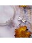 Pendant Charm Ejderha Kadınlar Için Karşılaştırılmış Farklı Bileklikler ve Kolye 925 Gümüş (Yurt Dışından) 2