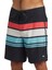 Everyday Stripe 19 Erkek Boardshort 3