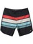 Everyday Stripe 19 Erkek Boardshort 5