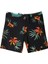 Highline Arch 19 Erkek Boardshort 5