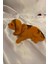 Golden Retriever Kafa Sallayan Köpek Başını Sallayan Köpek Sallanan Köpek 2