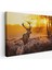Geyik Gün Batımı Dekoratif Kanvas Tablo 1120 1