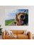Köpek Dekoratif Kanvas Tablo 1130 2