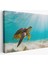 Caretta Caretta Dekoratif Kanvas Tablo 1174 1