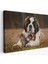 St. Bernard Köpek ve Yavru Kediler Dekoratif Kanvas Tablo 1124 1