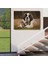 St. Bernard Köpek ve Yavru Kediler Dekoratif Kanvas Tablo 1124 5