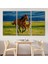 At ve Tay Manzaralı Dekoratif Kanvas Tablo 1173 3