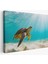 Deniz Kaplunbağası Dekoratif Kanvas Duvar TABLOSU-3662 1