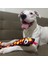 Sesli Peluş Yılan Köpek Oyuncağı Vikvik Sesi Çıkaran At Getir Oyuncağı 11x57 cm Büyük Irk Köpek Oyuncakları 6