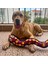 Sesli Peluş Yılan Köpek Oyuncağı Vikvik Sesi Çıkaran At Getir Oyuncağı 11x57 cm Büyük Irk Köpek Oyuncakları 7