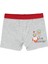 Civil Boys Erkek Bebek Boxer 9-18 Ay Boxer 1