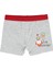 Civil Baby Civil Boys Erkek Bebek Boxer 9-18 Ay Boxer 1