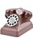 Heykelcik Telefon Para Tasarrufu Pot Raf Ev Odası (Yurt Dışından) 4