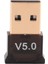 Pc Için USB Bluetooth 5.0 Adaptörü WIN10/8.1/8/7/BLUETOOTH Dongle Alıcı/verici Kulaklığı Bağlama Desteği Için (Yurt Dışından) 1