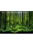 D Stili 41X122CM Rainforest Akvaryum Arka Plan Posteri Balık Tankı Sürüngen Kutusu Pvc 3D Sualtı Dünyası Manzara Resim Dekor Zemin Duvar Kağıdı (Yurt Dışından) 1