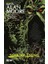 Swamp Thing Efsanesi: 5. Cilt - Alan Moore 1