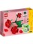 40460 Iconic Rose 2