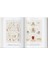 The Art And Science Of Ernst Haeckel. 40TH Anniversary Edition - Rainer Willmann 3