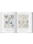 The Art And Science Of Ernst Haeckel. 40TH Anniversary Edition - Rainer Willmann 4