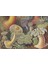 The Art And Science Of Ernst Haeckel. 40TH Anniversary Edition - Rainer Willmann 9