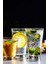 Ezme Tasarım Cam Su,Meşrubat,Latte,Kahve,Smoothie Bardağı 350 ML 2 Adet-4361 5