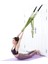 Mor Tarzı Yoga Hamak Uçan Salıncak Hava Yoga Ipi Streç Bacak Böler Fitness Eğitimi Için Pratik Elastik Streç Çubuk Yoga Kemerleri (Yurt Dışından) 3