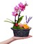 Vintage Flowers Phalaenopsis Orkide &flowers Kayık Beton Saksıda Mini Mor Orkide Çiçeği Hediye Canlı 2