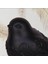 Birdy Dekoratif Obje Siyah 4