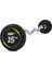 ZB150 15 kg Z Barbell 1