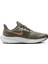Air Zoom Pegasus 39 Flyease Easy On/off Road Running Spor Ayakkabı DJ7383-002 2