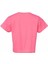 Sandra Crop T-Shırt S/s Kadın Tişört 911855-3440HOT Pınk 2
