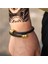 ZJ3237 Hip Hop Paslanmaz Çelik Erkek Bileklik Bileklik Titanyum Ayarlanabilir Açık Manşet Charm Bileklik Takı Pulseras Ombre Punk Takı (Yurt Dışından) 4