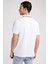 Paul Erkek Regular Fit Polo T-Shirt 3