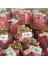 Pembe Bubble Mum Doğumgünü,nişan,özel Gün Hediyeliği Pembe Bubble Candle 2
