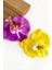 2 Adet Aloha Orkide Çiçeği Floral Pens Toka 3
