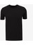 Pamuklu Slim Fit Sıfır Yaka Basic Erkek Tişört 242LCM242015 Gael 1