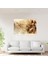 Leonardo Da Vinci Wall Decoration - Leonardo Da Vinci, Wall Art, Canvas Wall Art, Leonardo Da Vinci, 50X30 3