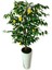 Yapay Ağaç Limon Ağacı 170 cm 56X30X20 Beyaz Kumsal Saksı 3