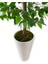 Yapay Ağaç Limon Ağacı 170 cm 56X30X20 Beyaz Kumsal Saksı 5