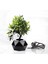 Yapay Bonsai Tarzı Bitki Siyah Saksı-33 cm 241545 1