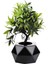 Yapay Bonsai Tarzı Bitki Siyah Saksı-33 cm 241545 2