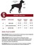 MgTasma Püsküllü Deri Boyun Tasması, Sivas Kangalı, Malaklı, Çoban Köpeği, Akbaş, Kangal Köpek Tasması Yeşil 3