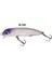 Hergele Slalom 25 Cm Dalar, 5,2g, 60mm, Maket Sahte Balık Rapala Yapay Yem 3
