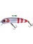 Hergele Slalom 25 Cm Dalar, 5,2g, 60mm, Maket Sahte Balık Rapala Yapay Yem 3